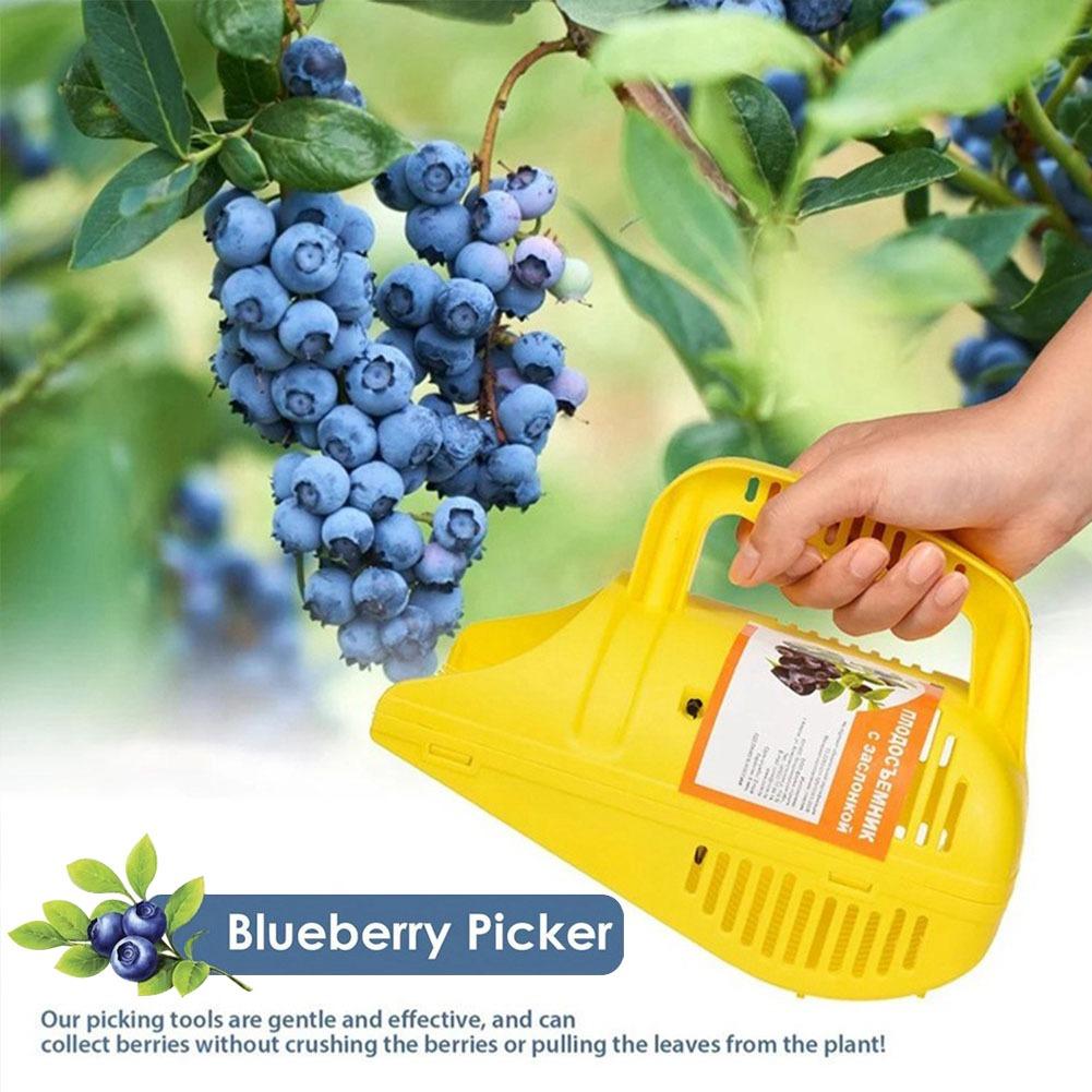 Gardening Tools You Must Have - Tarak Dişli Kolay Tutuşlu Yaban Mersini