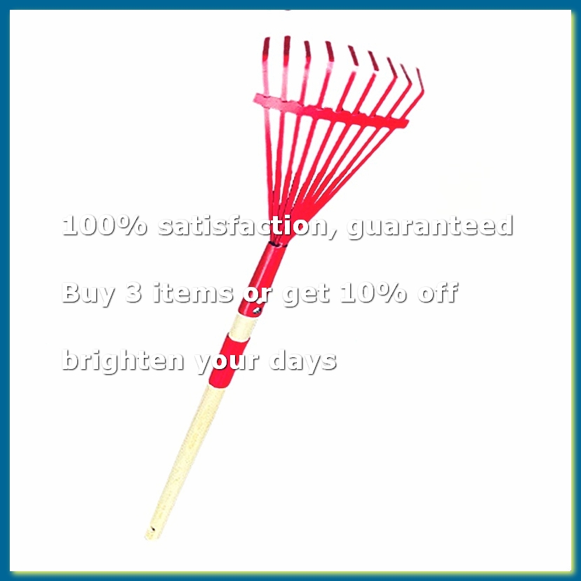 Gardening Tools For 3 Year Old - Ahşap Saplı Çocuk Tırmığı ve Çocuklar