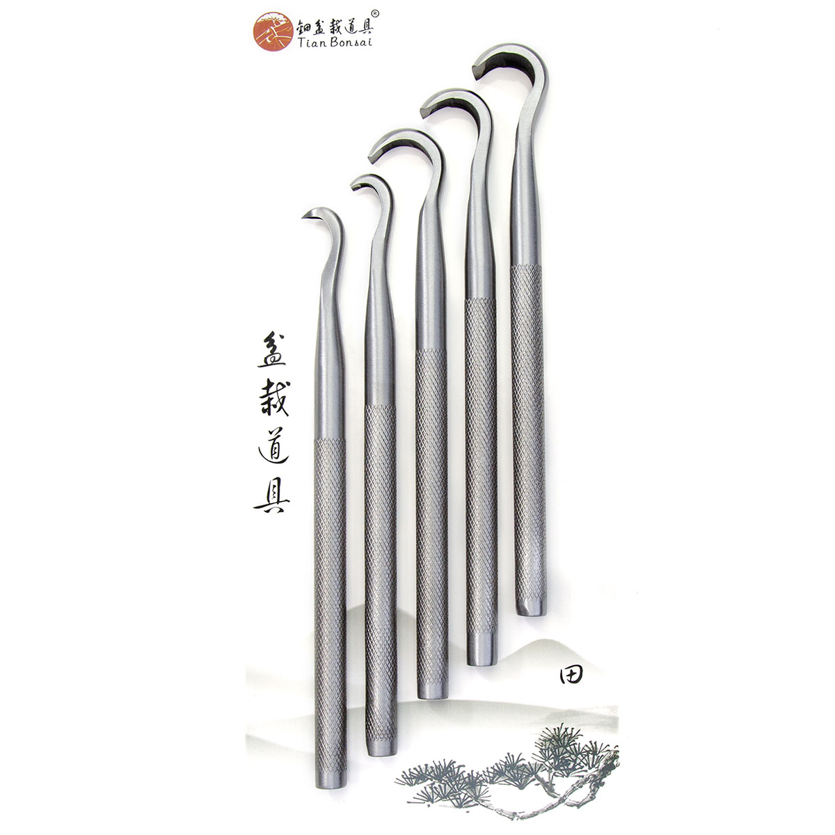 Bonsai Tool Set - Bonsai Oyma Alet Seti CT-A, TianBonsai'den