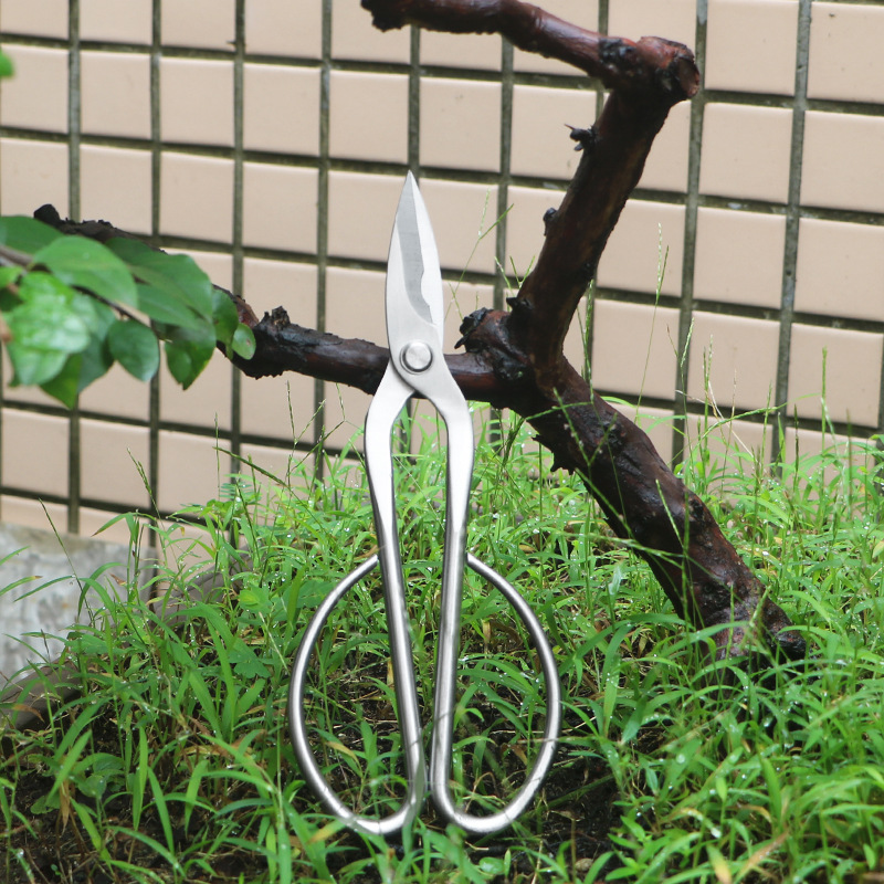 Bonsai Tool Set - Tamamen çelik bahçe makası, yaprak, filiz,
