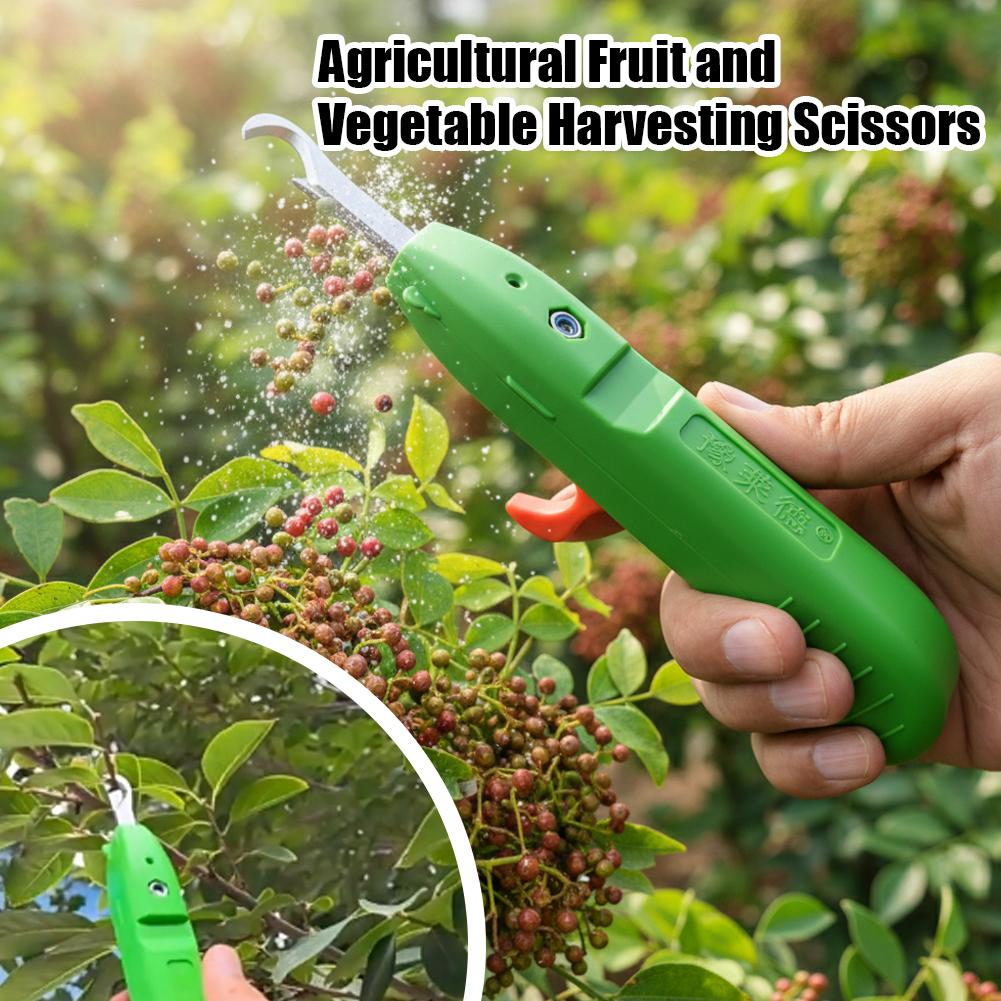 Bahçecilik için Budama Makası  - Gardening Tools Scissors incelemesi ve fiyatı