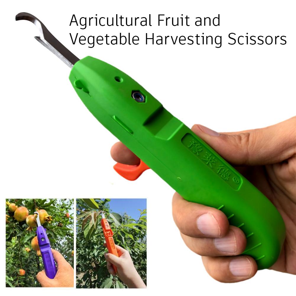 Bahçecilik için Budama Makası  - Gardening Tools Scissors incelemesi ve fiyatı