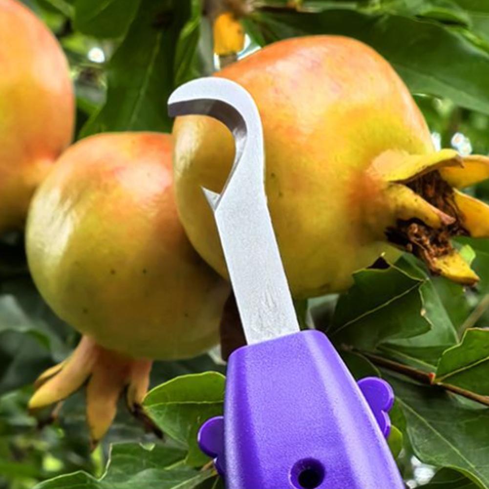 Bahçecilik için Budama Makası  - Gardening Tools Scissors incelemesi ve fiyatı