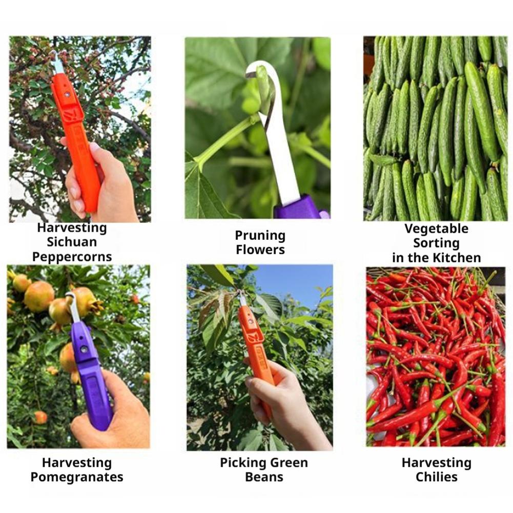 Bahçecilik için Budama Makası  - Gardening Tools Scissors incelemesi ve fiyatı