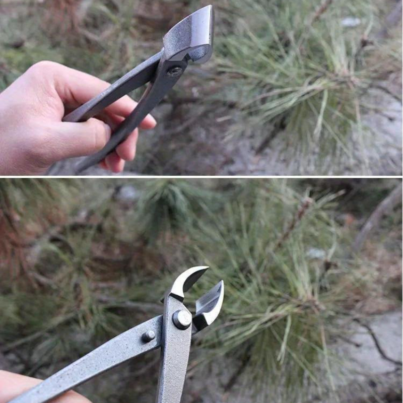 Bonsai Topuz Kesici İçbükey Ke - Bonsai Tool Set incelemesi ve fiyatı