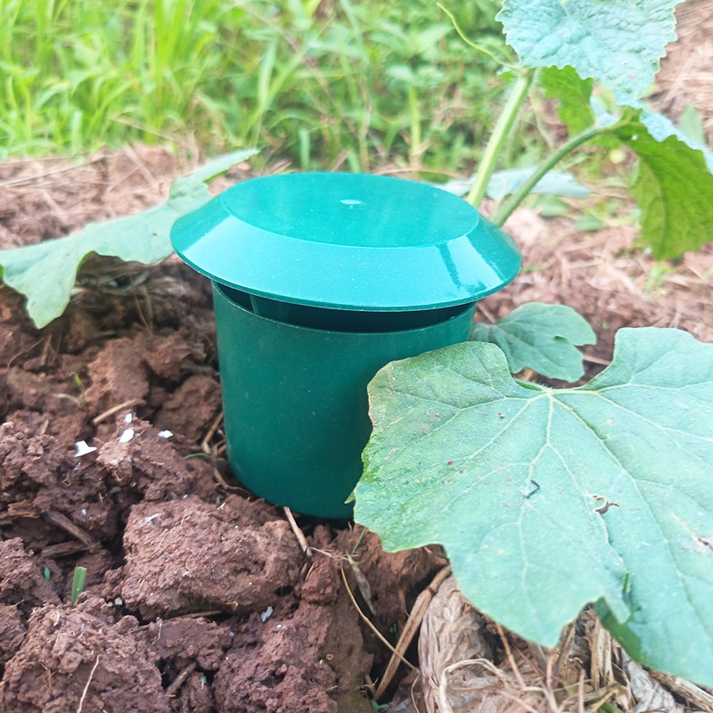 10/1 adet salyangoz tuzakları  - Gardening Tools Toolstation incelemesi ve fiyatı