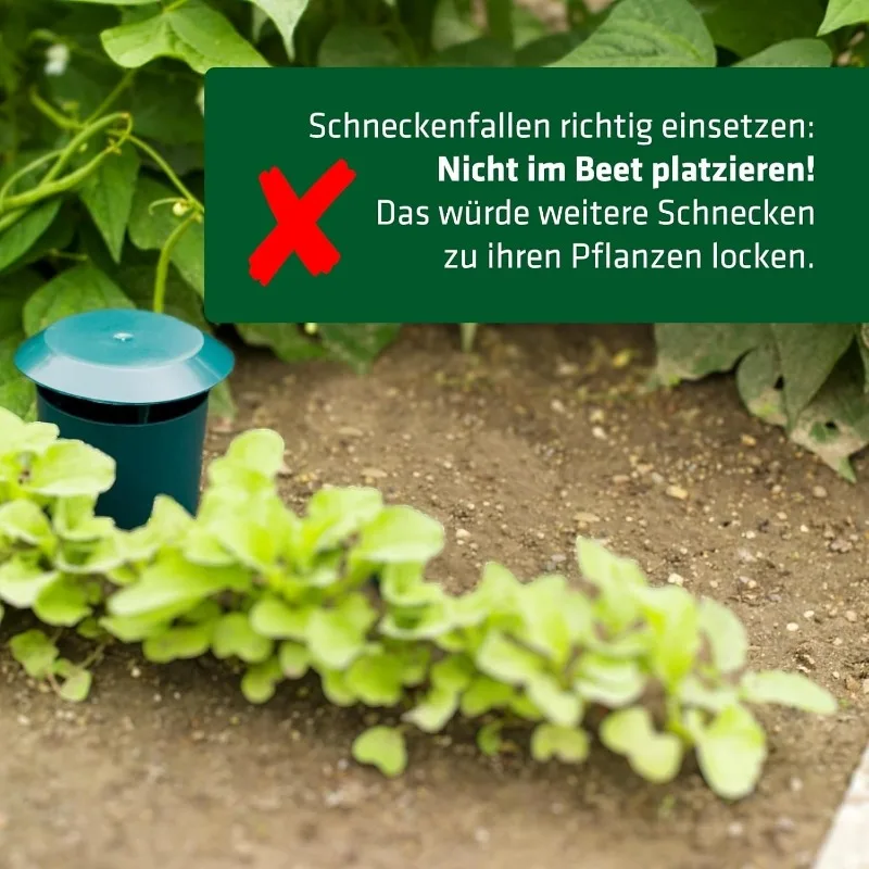 10/1 adet salyangoz tuzakları  - Gardening Tools Toolstation incelemesi ve fiyatı