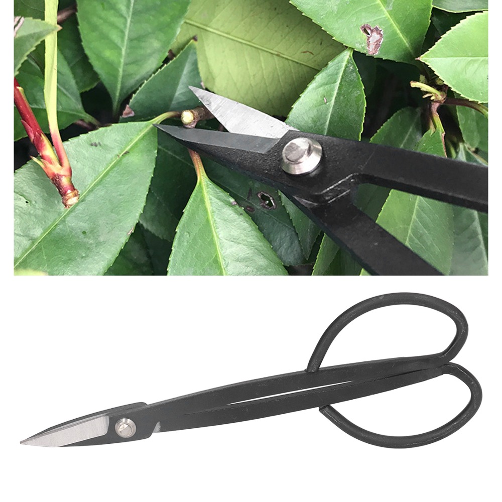 Paslanmaz Çelik Bonsai Makası  - Bonsai Tool Set incelemesi ve fiyatı