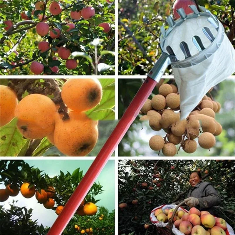 Bahçe Meyve Seçici, Teleskopik - Gardening Tools Scissors incelemesi ve fiyatı