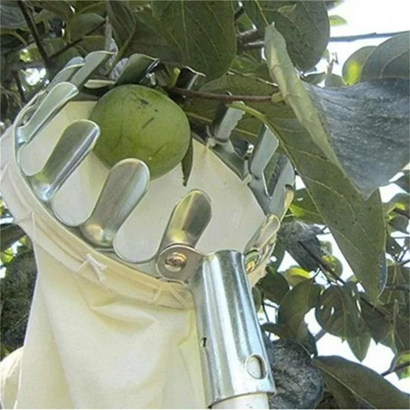 Bahçe Meyve Seçici, Teleskopik - Gardening Tools Scissors incelemesi ve fiyatı