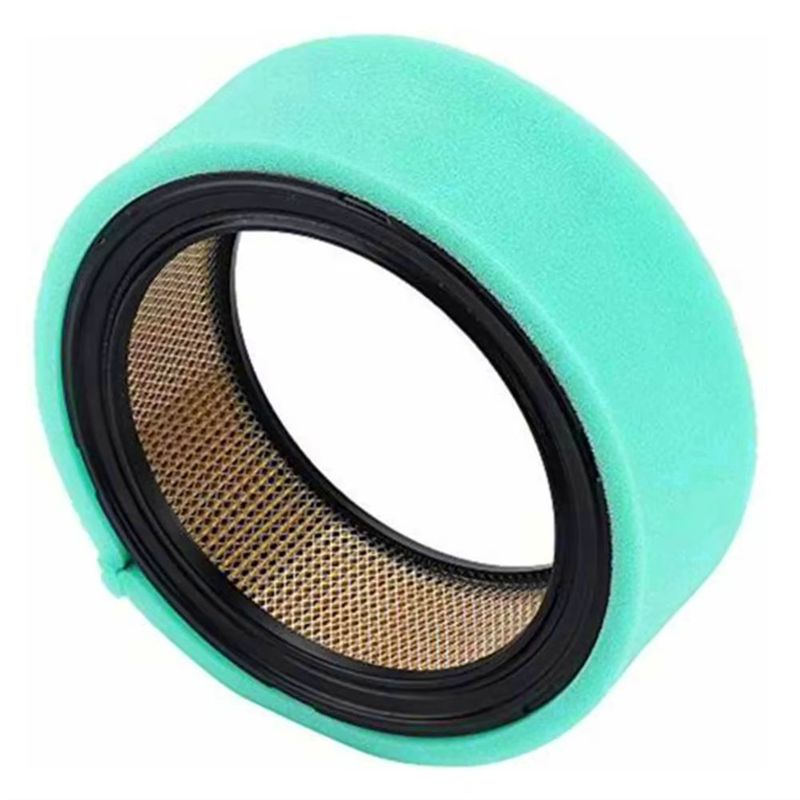 Kohler Motoru İçin Hava Filtre - Gardening Tools You Must Have incelemesi ve fiyatı