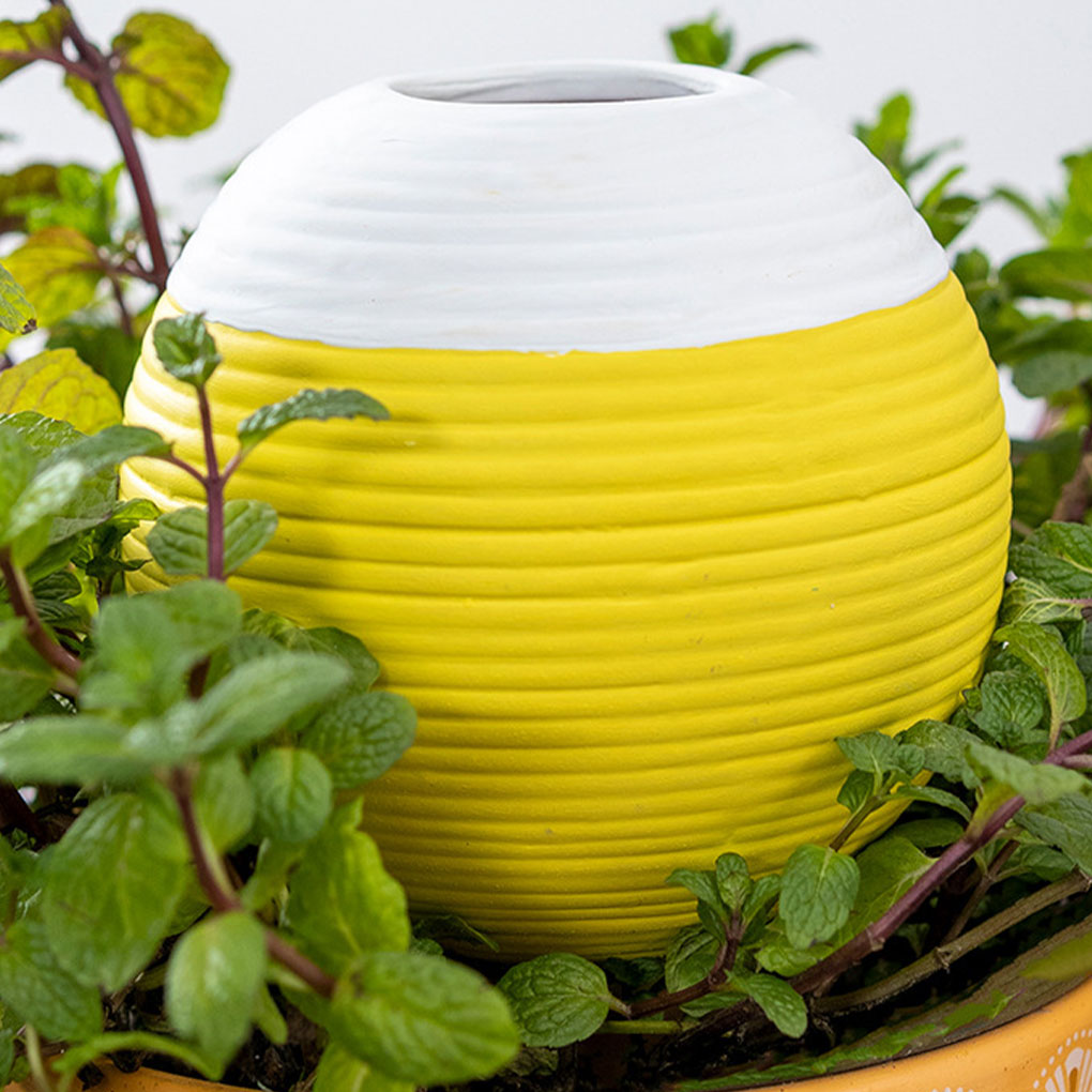 Seramik Otomatik Bitki Sulama  - Gardening Tools You Must Have incelemesi ve fiyatı
