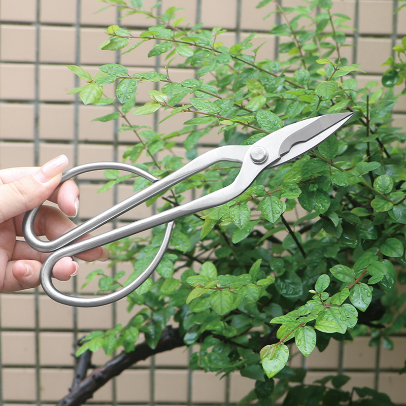 Tamamen çelik bahçe makası, ya - Bonsai Tool Set incelemesi ve fiyatı