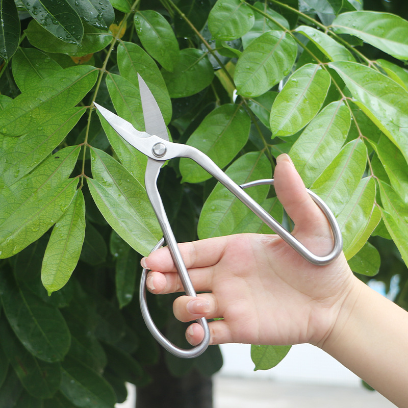 Tamamen çelik bahçe makası, ya - Bonsai Tool Set incelemesi ve fiyatı