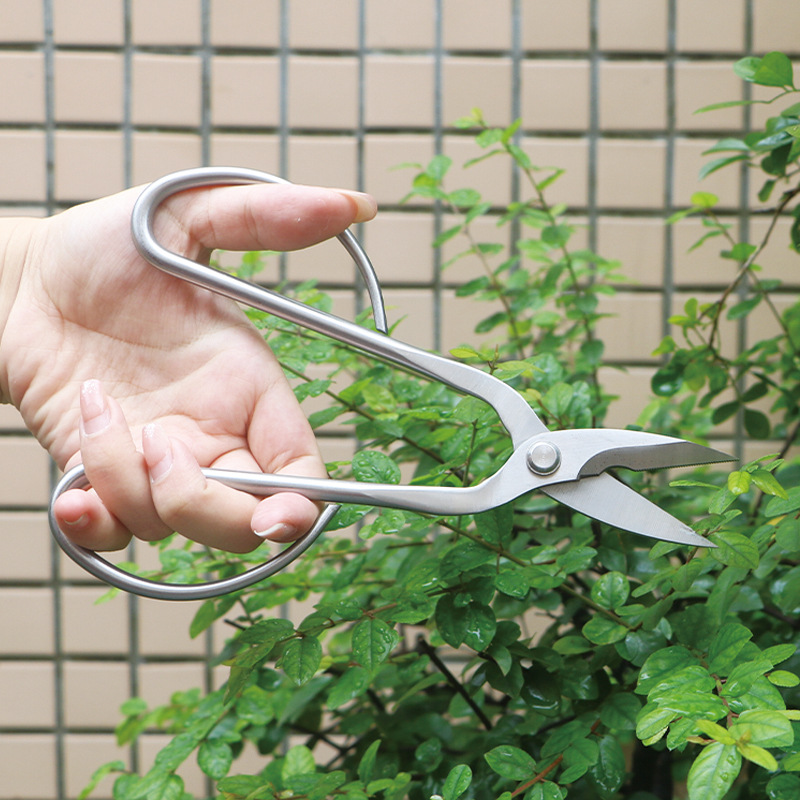 Tamamen çelik bahçe makası, ya - Bonsai Tool Set incelemesi ve fiyatı