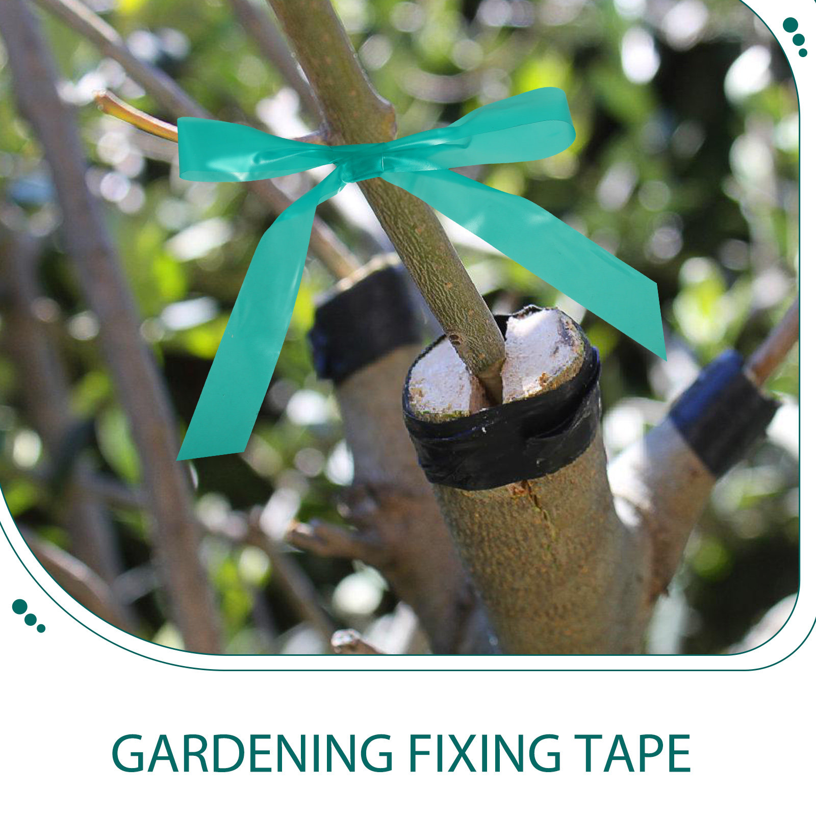 2 adet 2 rulo esnek ağaç budam - Grafting Tape incelemesi ve fiyatı