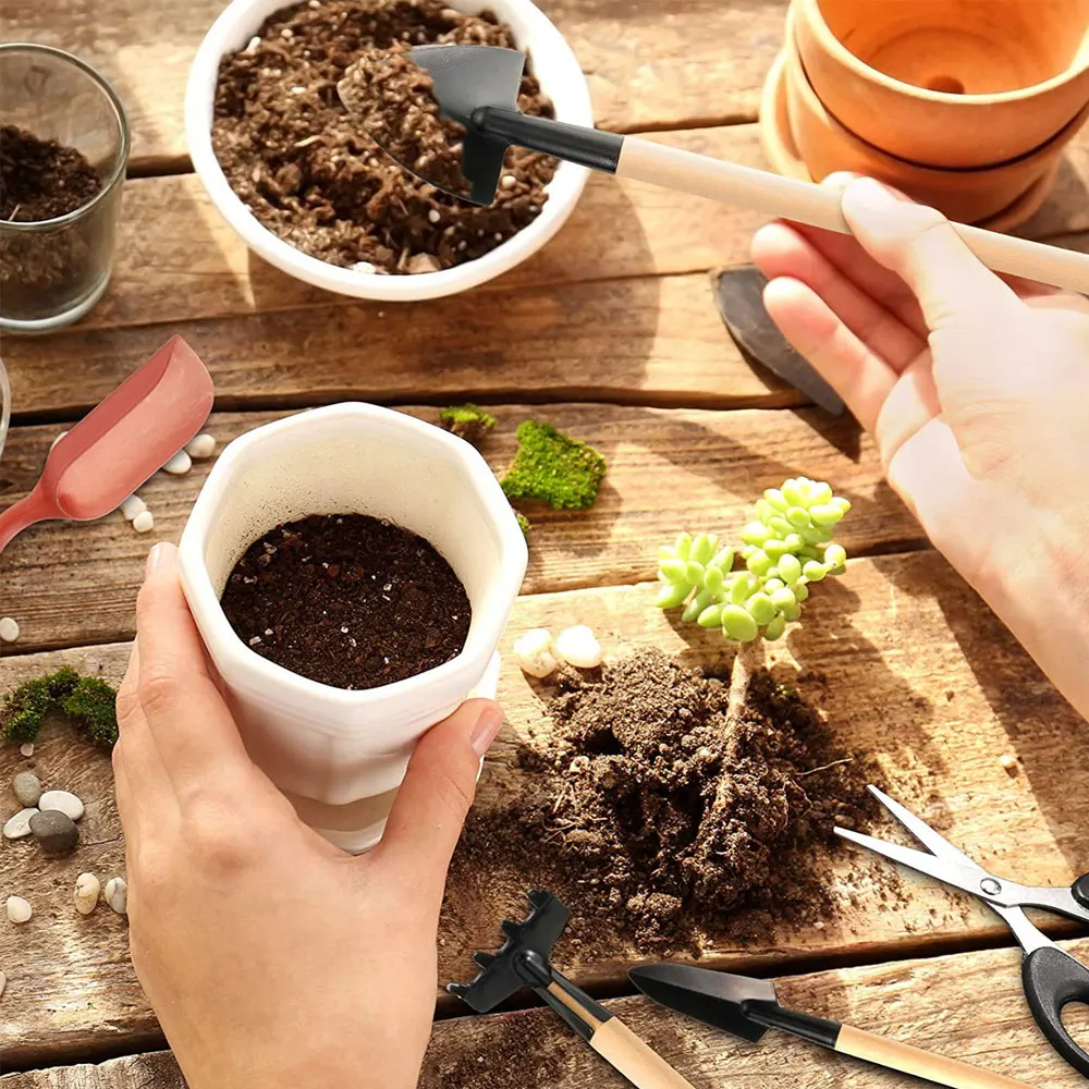 Kapalı bitki için 13 adet etli - Gardening Tools Kit For Home Garden incelemesi ve fiyatı