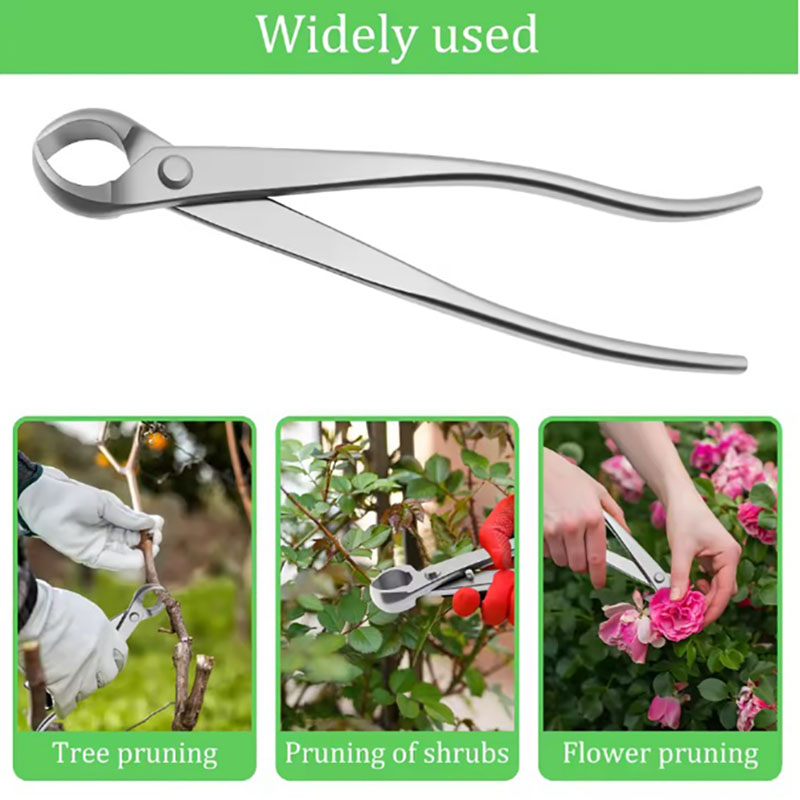 2 adet 210mm Paslanmaz Çelik B - Bonsai Tool Set incelemesi ve fiyatı