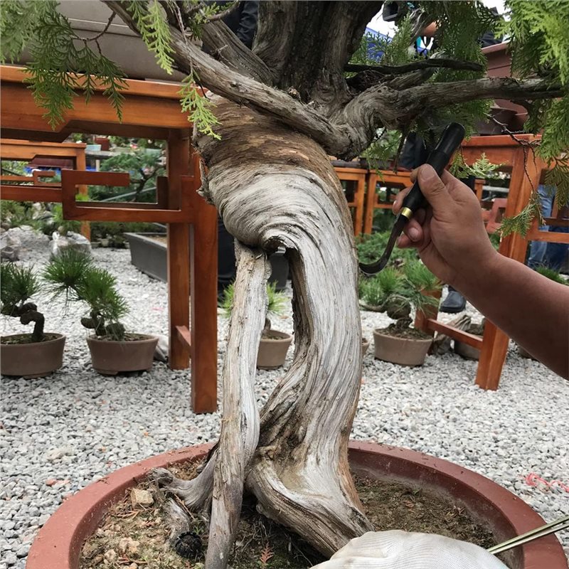 A74E-Bonsai Kazıyıcı 5 Parçalı - Bonsai Tool Set incelemesi ve fiyatı