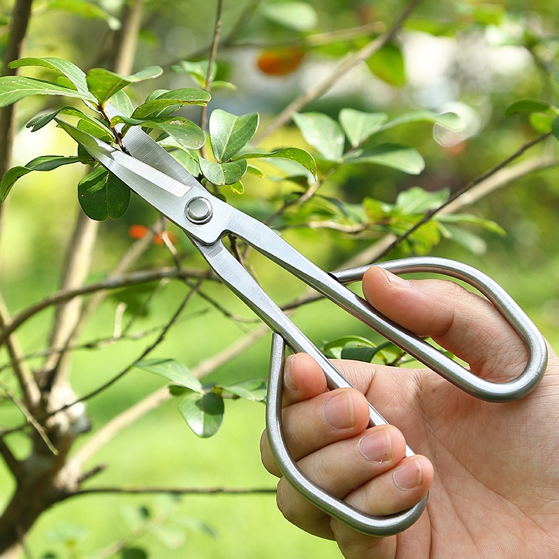 Yumuşak Yaprak Makası Bonsai A - Bonsai Tool Set incelemesi ve fiyatı