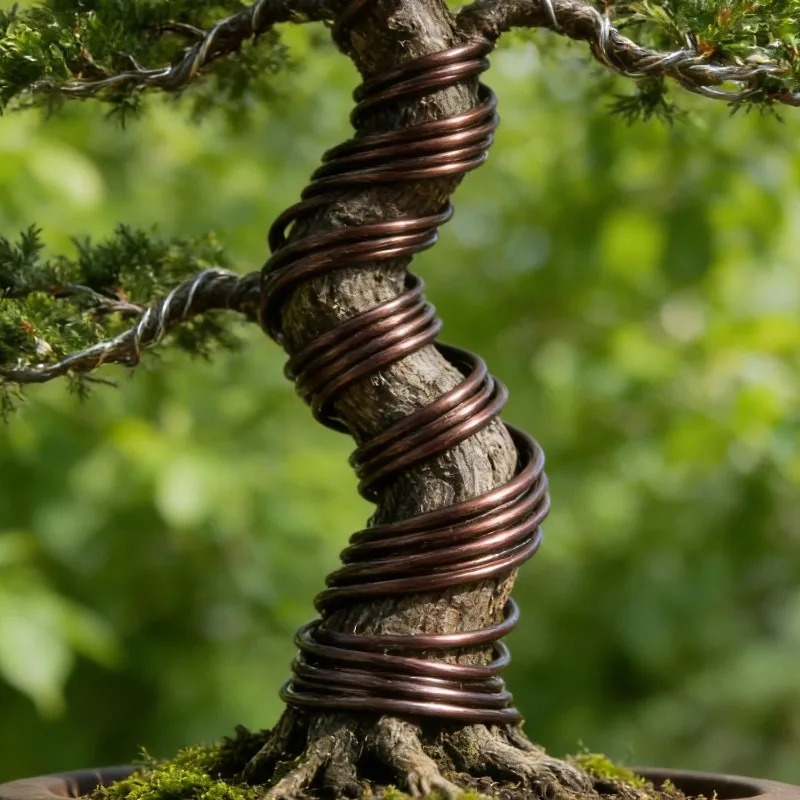 5 M Bonsai Eğitim Teli Seti, B - Gardening Tool Diy incelemesi ve fiyatı