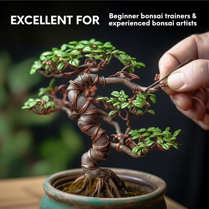 5 M Bonsai Eğitim Teli Seti, B - Gardening Tool Diy incelemesi ve fiyatı
