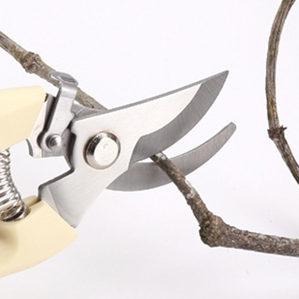 Pruner Makas El Aletleri Bonsa - Bonsai Tool Set incelemesi ve fiyatı