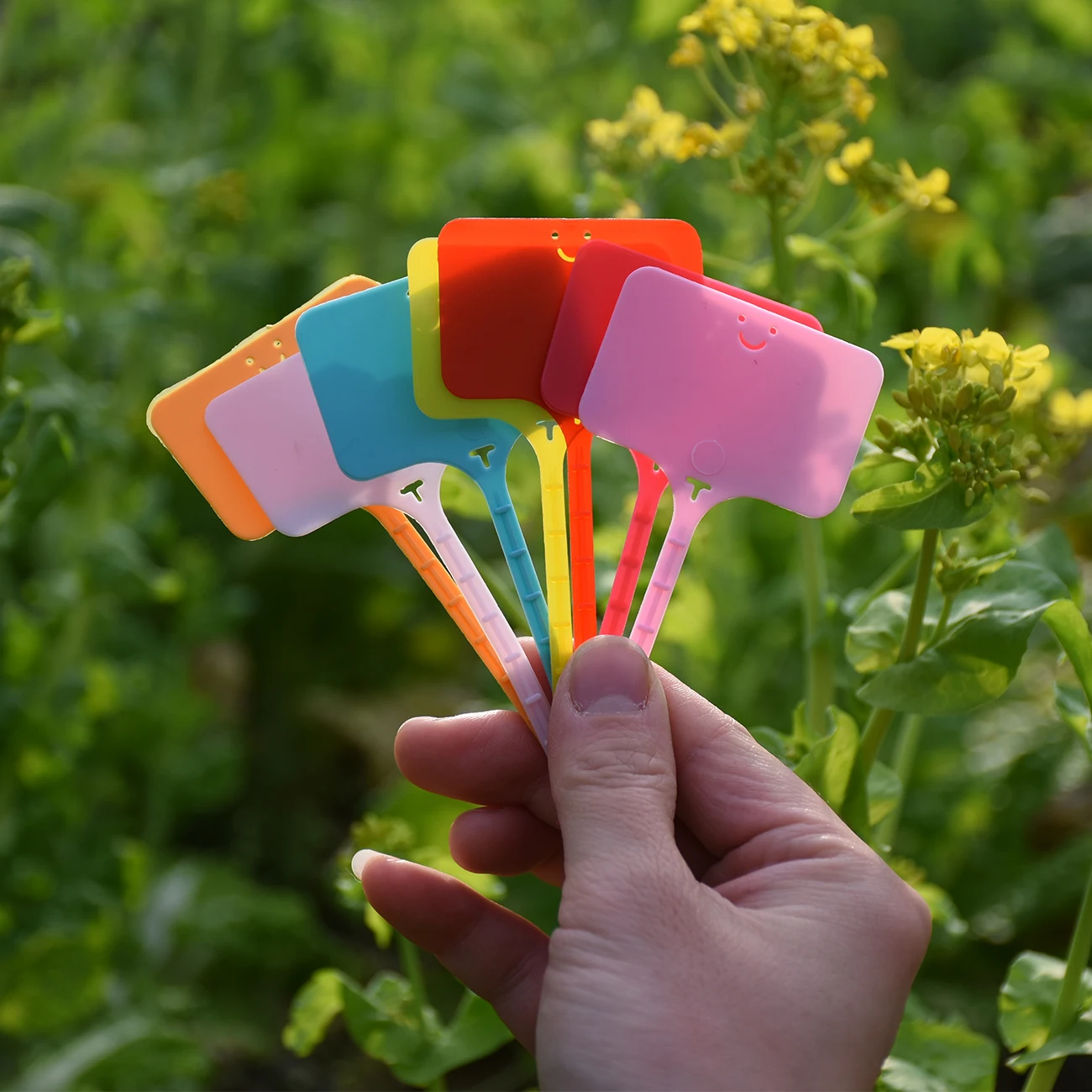 50 adet su geçirmez bahçe tesi - Gardening Tool Diy incelemesi ve fiyatı