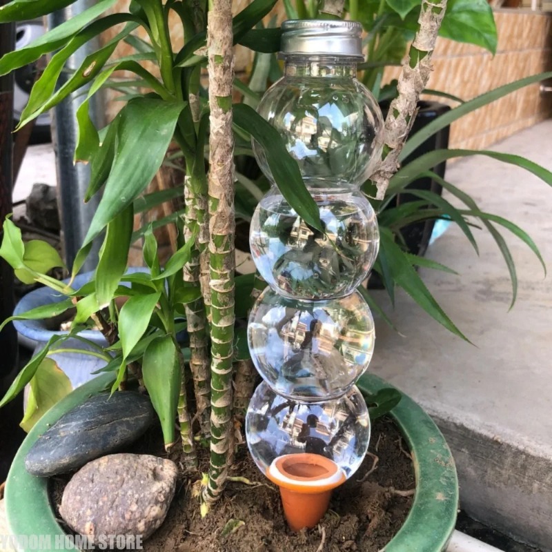 1 Adet Yaratıcı Otomatik Bitki - Gardening Tools For Home incelemesi ve fiyatı