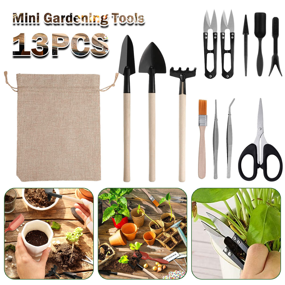 Etli Bitkiler Araçları Mini Ba - Bonsai Tool Set incelemesi ve fiyatı