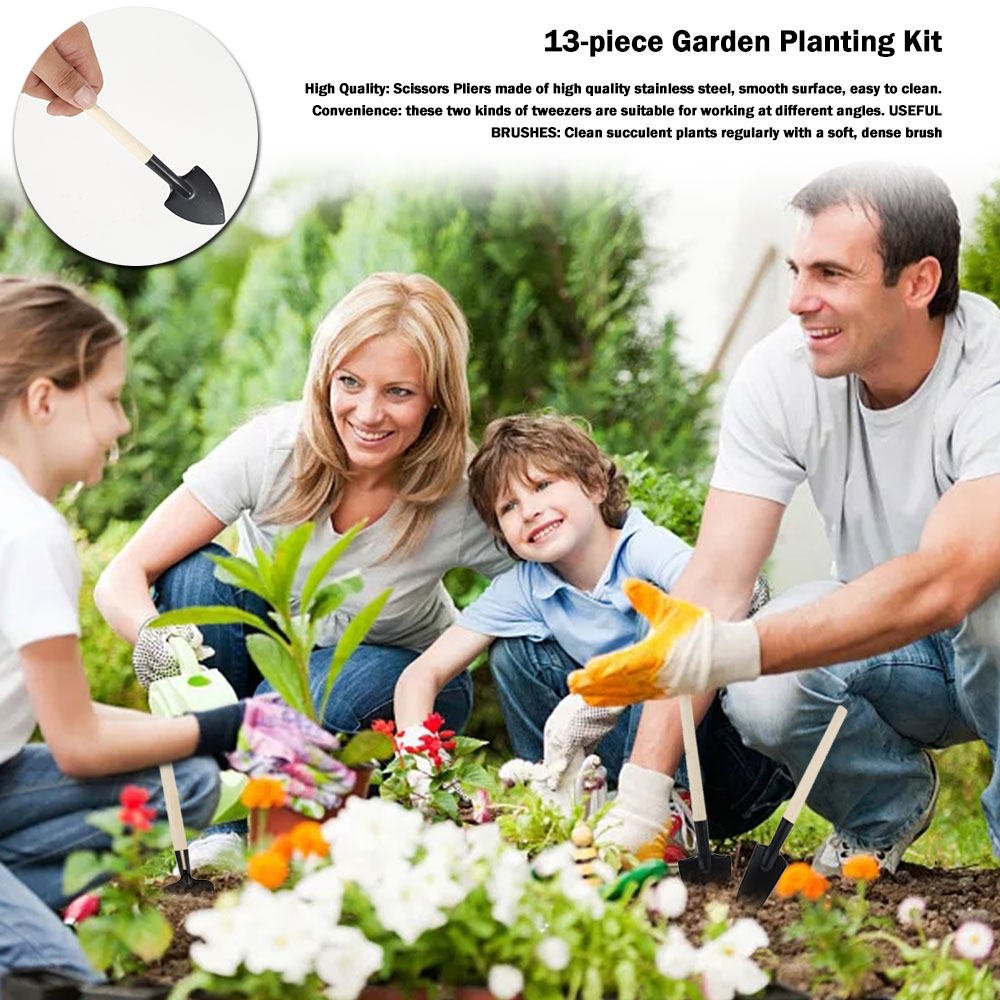Etli Bitkiler Araçları Mini Ba - Bonsai Tool Set incelemesi ve fiyatı