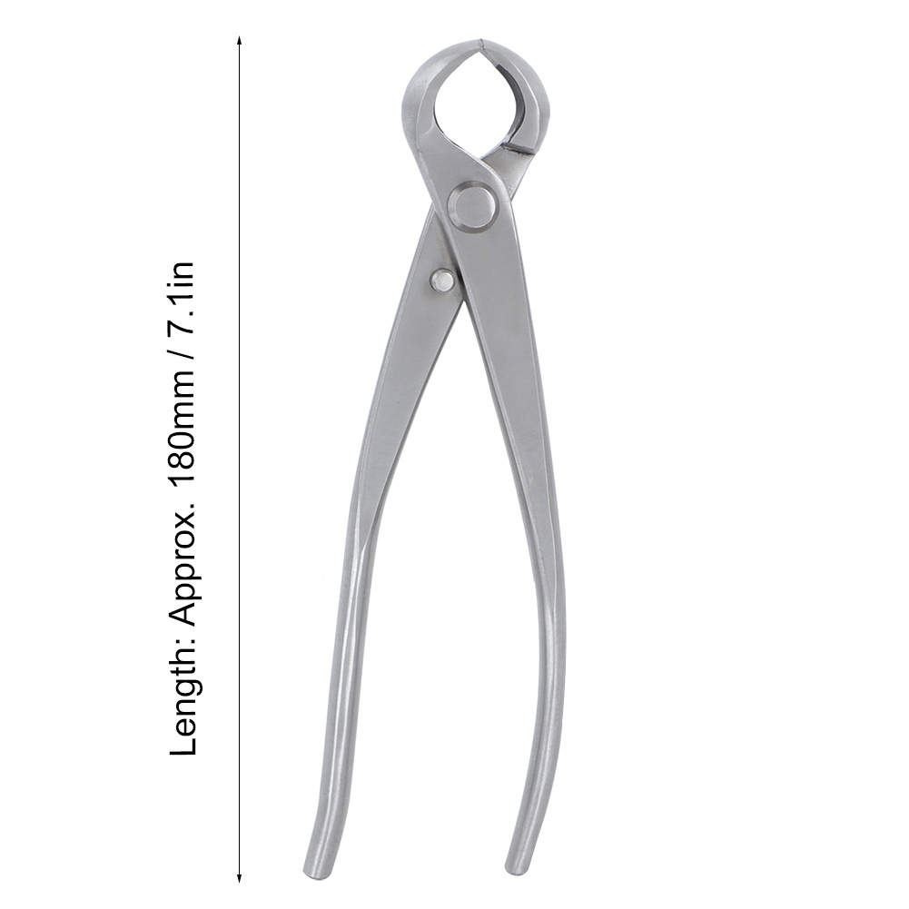İçbükey Topuz Kesici 180mm Pas - Bonsai Tool Set incelemesi ve fiyatı